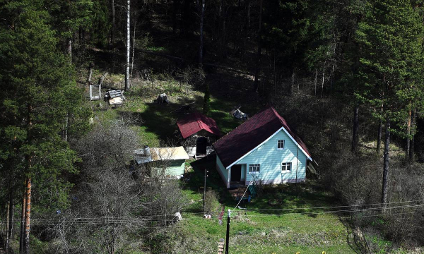 Дачников предупредили о риске лишиться участка